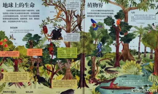 《鸣潮》槲生半岛溢彩画攻略:揭秘隐藏彩蛋! 《鸣潮》槲生半岛溢彩画攻略:揭秘隐藏彩蛋!